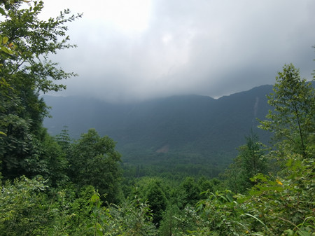 野外安裝監(jiān)控?cái)z像頭，在披荊斬棘中奮斗