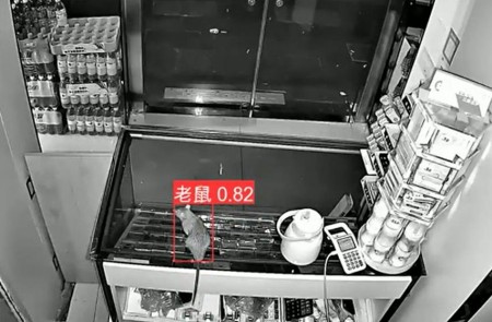 AI智能監(jiān)控算法推出新算法，老鼠再也無(wú)處可逃
