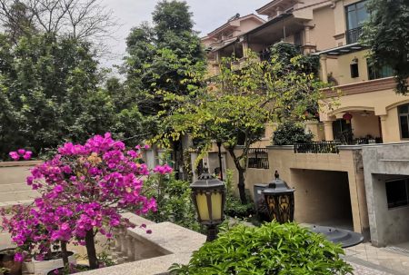 小區(qū)屢被&ldquo;光顧&rdquo;，居家安全小區(qū)安防請多加重視