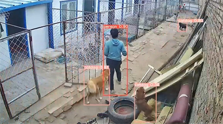 AI視頻監(jiān)控|AI算法|智能養(yǎng)殖 AI視頻監(jiān)控|AI算法|智能養(yǎng)殖